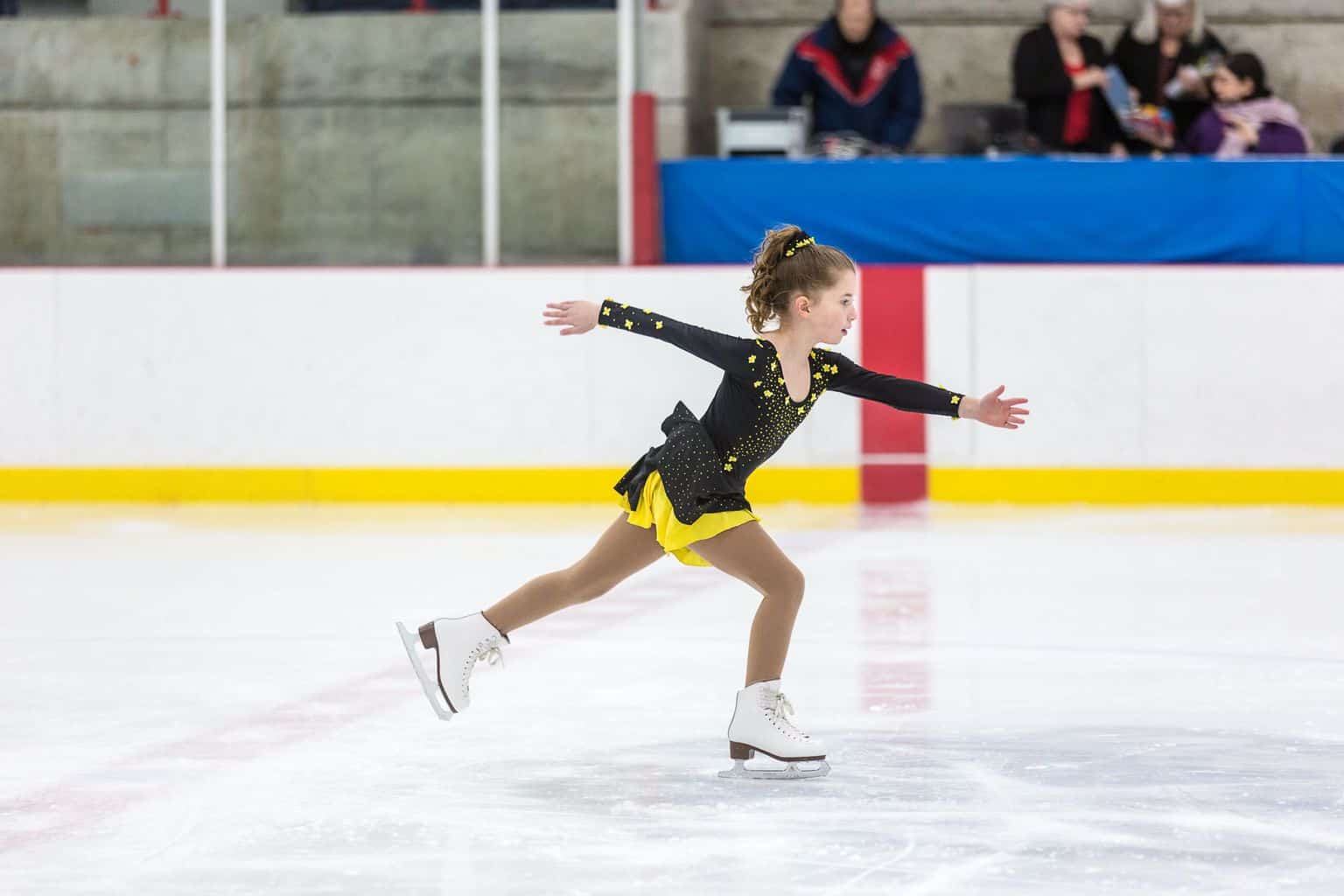 Arenas and skating rinks Ville de Dollard des Ormeaux