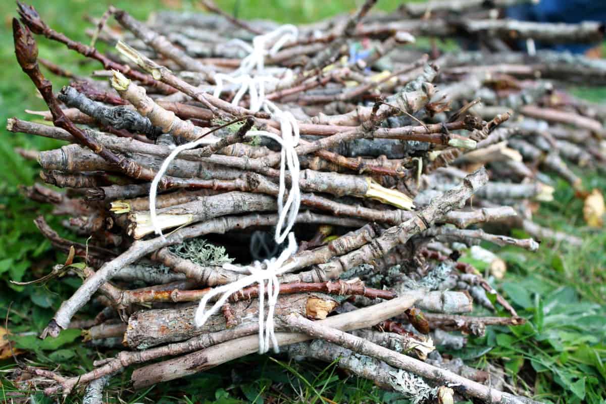 Branch pickup Ville de DollarddesOrmeaux