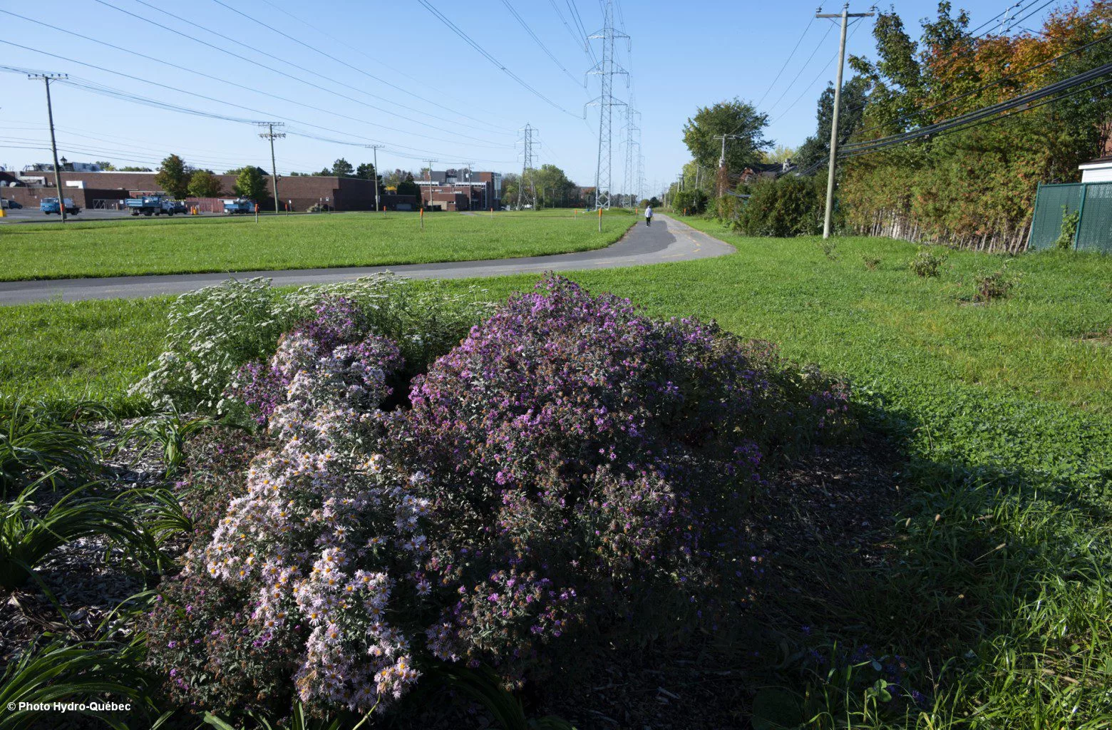 Bike path