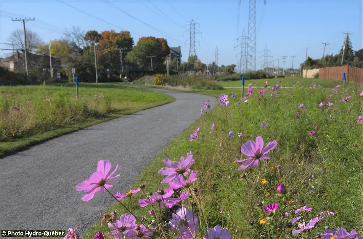 Pedestrian path