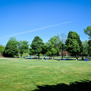Espace vert au parc du Centenaire