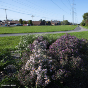 Piste cyclable